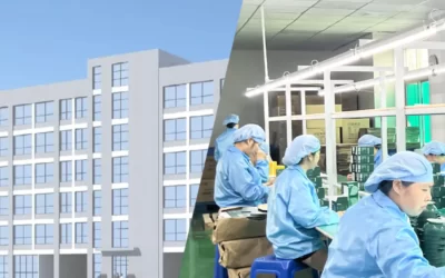 Choosing Silicone Popsicle Ice Cube Molds: Safety & Maintenance Tips